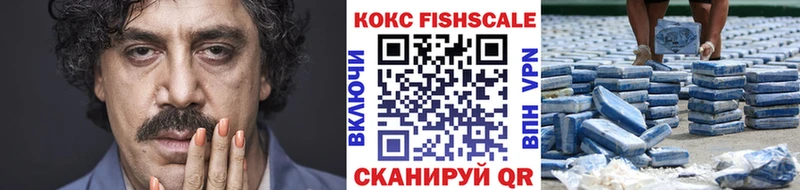 Cocaine 97%  OMG как войти  Куртамыш  цены наркотик 