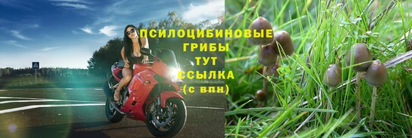 бутик Новозыбков