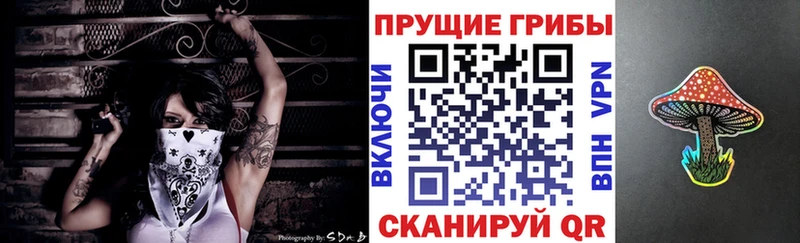 Галлюциногенные грибы ЛСД  Куртамыш 